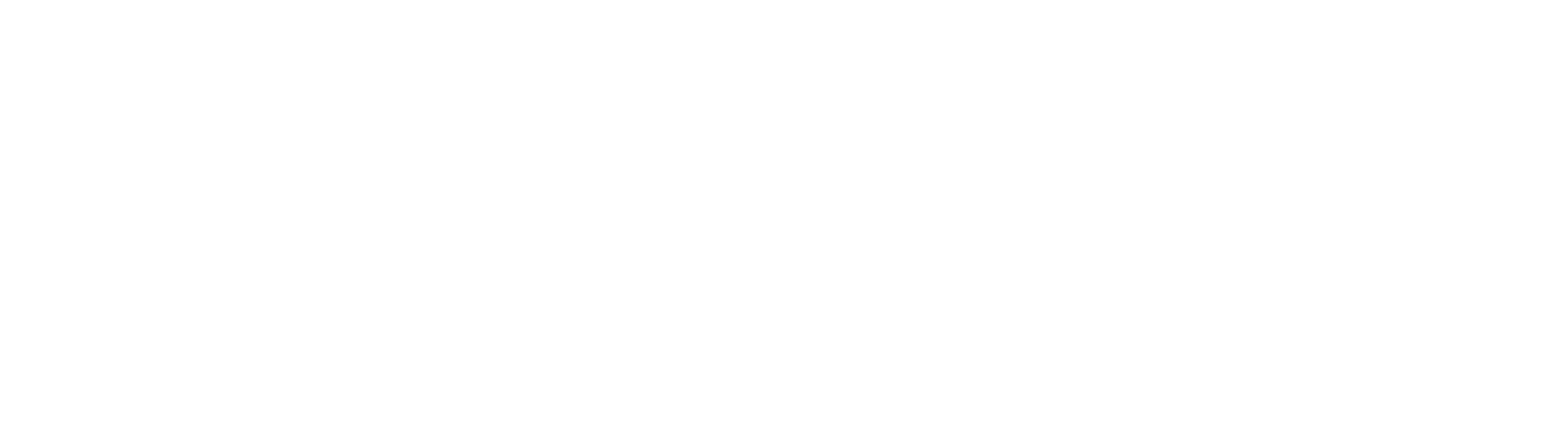 Sorin Logo